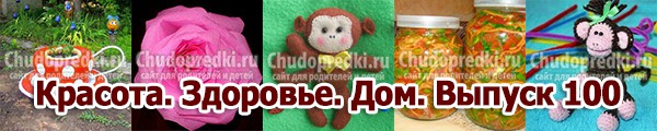 Красота. Здоровье. Дом. Выпуск 100