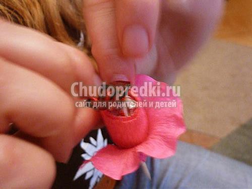 Цветы из гофрированной бумаги