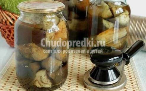 Консервируем баклажаны на зиму: лучшие рецепты с фото Консервируем баклажаны на зиму: лучшие рецепты с фото