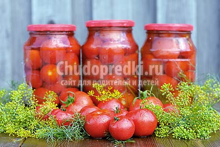 Заготовки на зиму из помидор: рецепты с фото