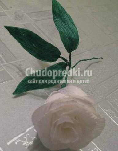 Розы из гофрированной бумаги: фото, идеи и мастер-классы