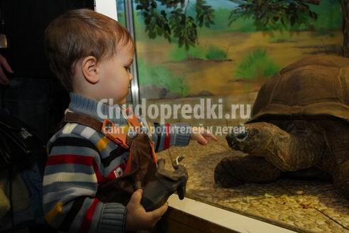 Тула для детей