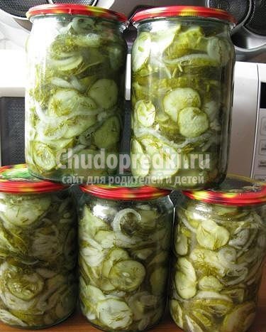 Салат из переросших огурцов на зиму. Самые популярные рецепты