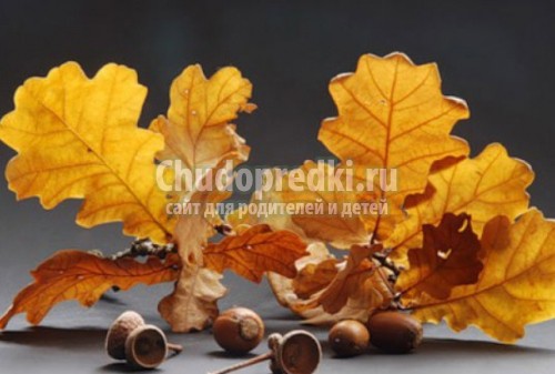 Лучшие поделки золотая осень