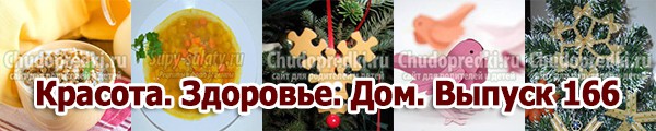 Красота. Здоровье. Дом. Выпуск 166