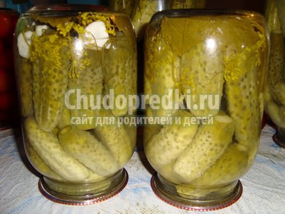 Маринованные огурцы. Золотые рецепты для хозяюшек