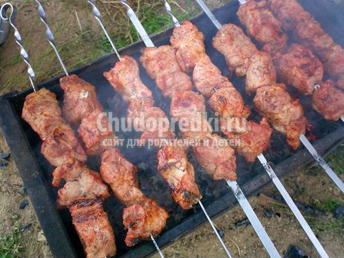 Шашлык из свинины с уксусом: лучшие рецепты с фото