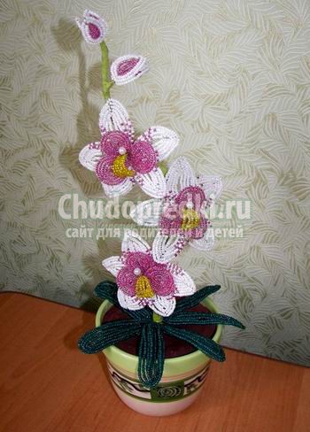 Орхидея своими руками: как сделать? Подробные фото мастер-классы