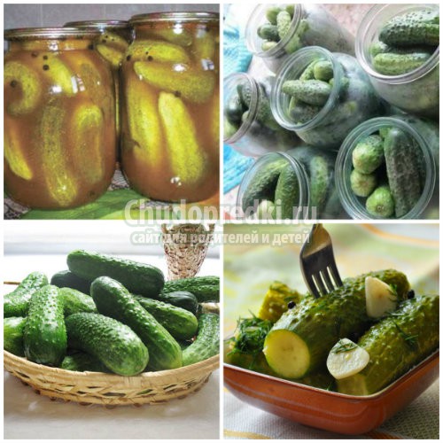 Вкусные рецепты огурцов банке на зиму с подробными фото
