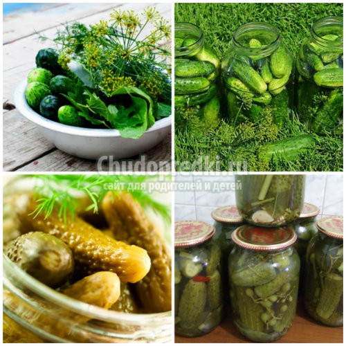 Вкусные рецепты огурцов банке на зиму с подробными фото