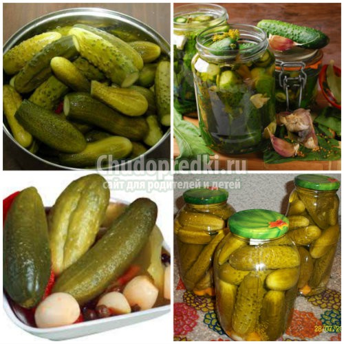 Вкусные рецепты огурцов банке на зиму с подробными фото