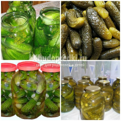 Вкусные рецепты огурцов банке на зиму с подробными фото