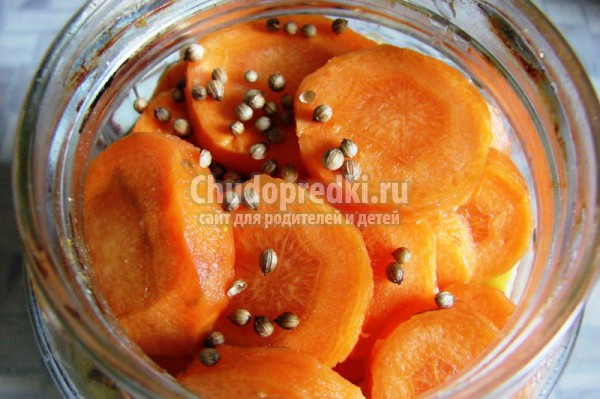 Морковь с яблоками консервированная Морковь с яблоками консервированная