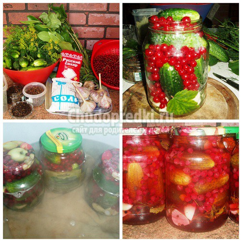 Огурцы на зиму с уксусом. Варианты на любой вкус