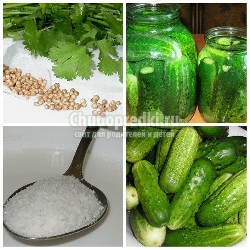 Огурцы на зиму с уксусом. Варианты на любой вкус