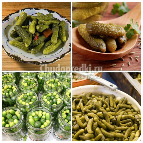 Огурцы на зиму с уксусом. Варианты на любой вкус