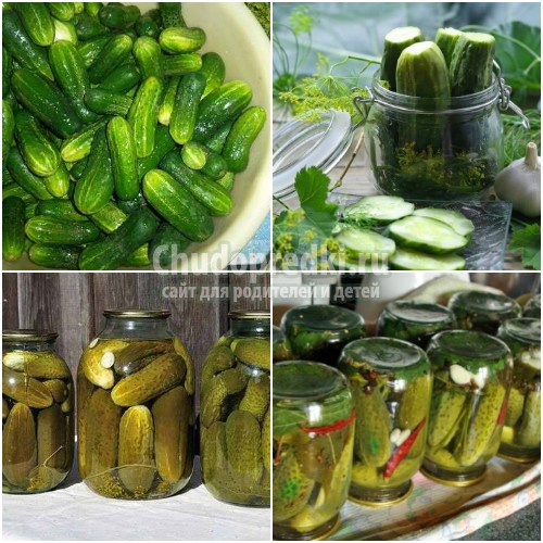 Огурцы на зиму в банках: готовим вкусно и полезно. Лучшие рецепты с фото
