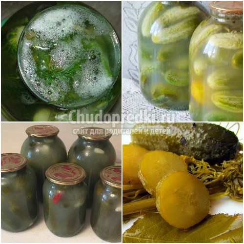 Огурцы на зиму в банках: готовим вкусно и полезно. Лучшие рецепты с фото