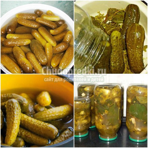 Огурцы на зиму в банках: готовим вкусно и полезно. Лучшие рецепты с фото