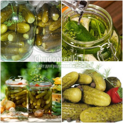 Огурцы на зиму в банках: готовим вкусно и полезно. Лучшие рецепты с фото