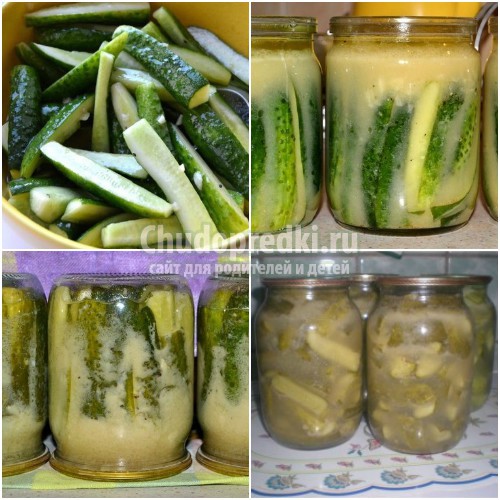 Огурцы на зиму в банках: готовим вкусно и полезно. Лучшие рецепты с фото