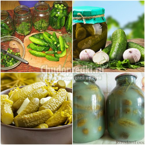 Огурцы на зиму в банках: готовим вкусно и полезно. Лучшие рецепты с фото