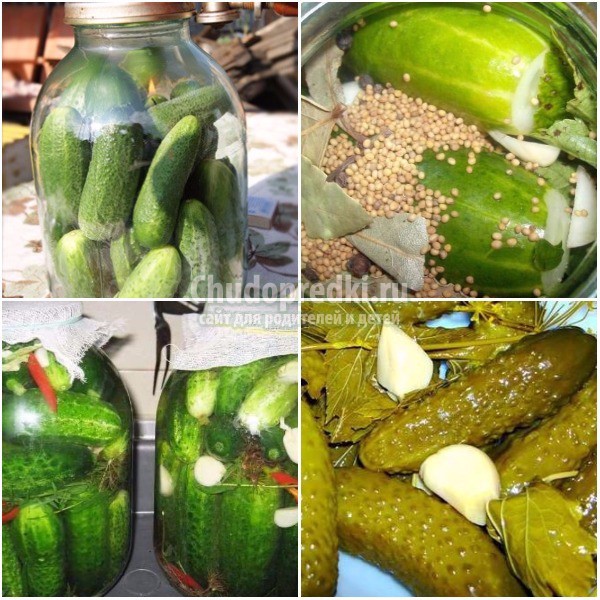 Вкусные огурцы на зиму в 3 литровых банках: лучшие рецепты с фото
