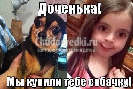 Самые веселые и прикольные анекдоты, смешно аж до слез (11 анекдотов)