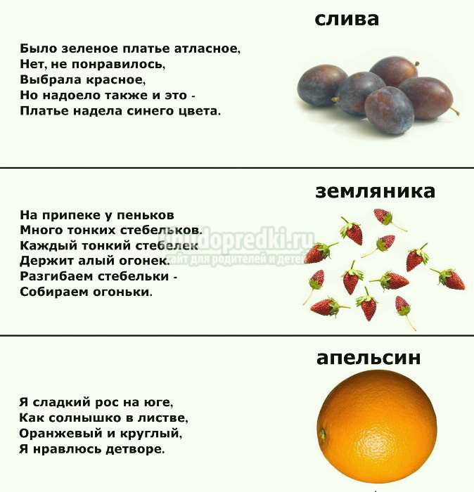 загадки для детей 5 лет