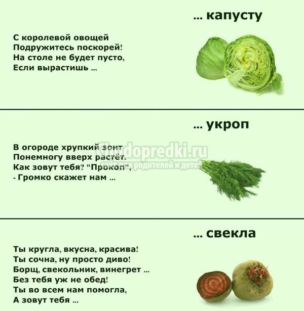 загадки для детей 5 лет