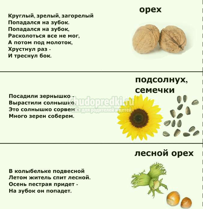 загадки для детей 5 лет