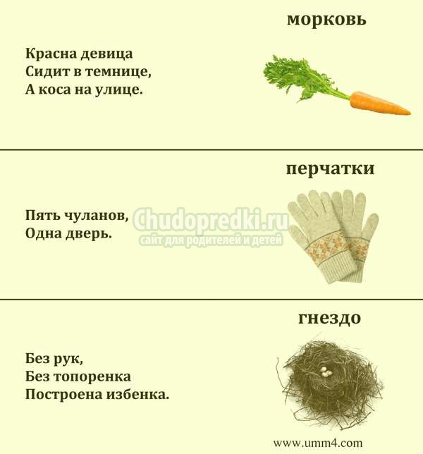 загадки для детей 5 лет