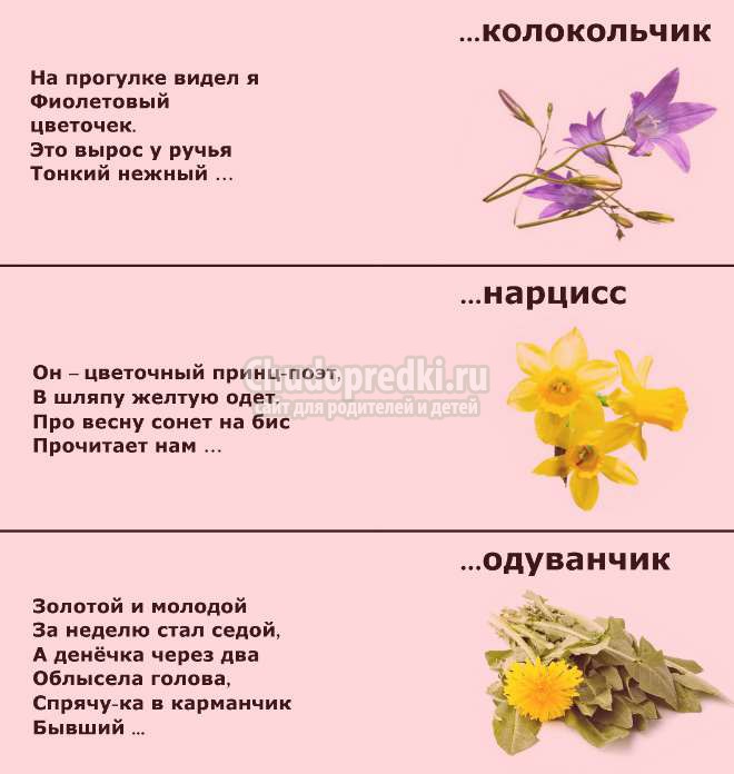 загадки для детей 5 лет