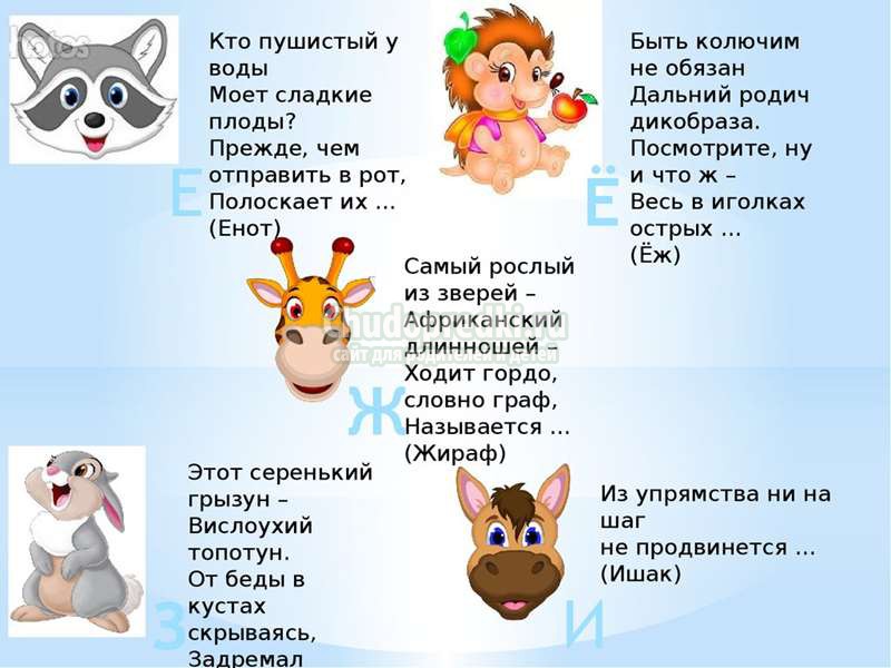загадки для детей 5 лет