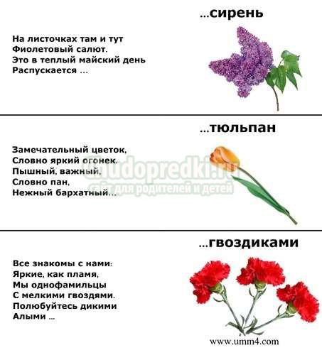 загадки для детей 5 лет