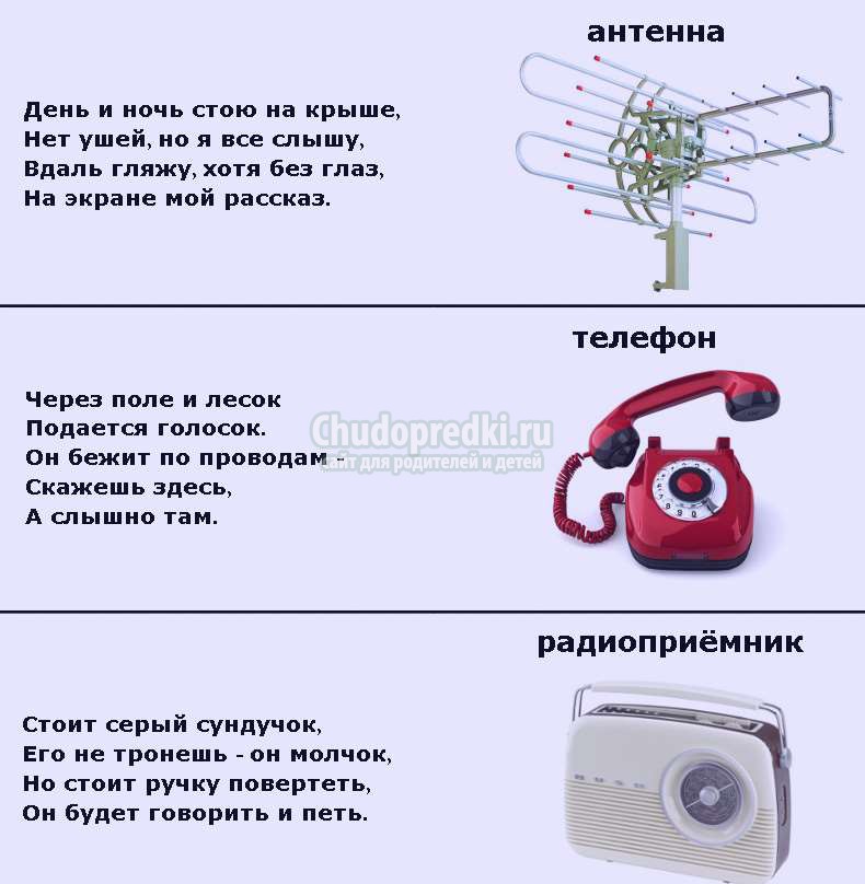 загадки для детей 5 лет