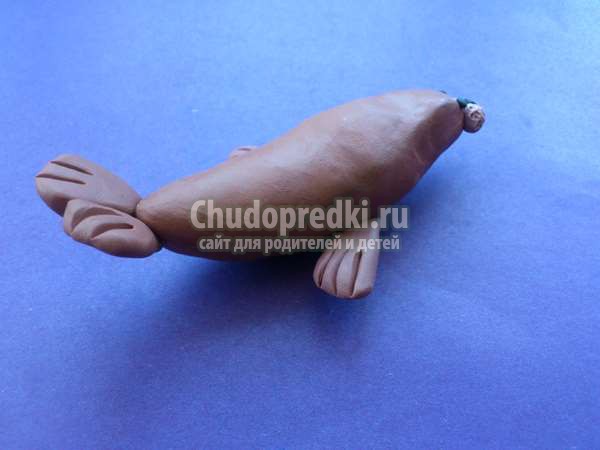 из пластилина: тюлень