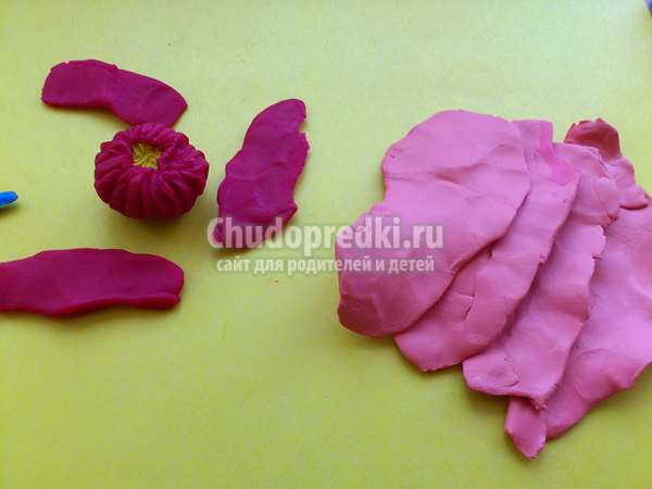 Цветок астра из пластилина
