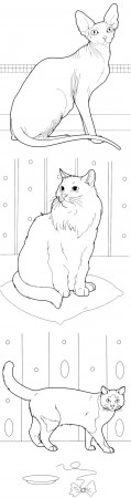 как нарисовать кошку