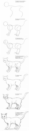 как нарисовать кошку