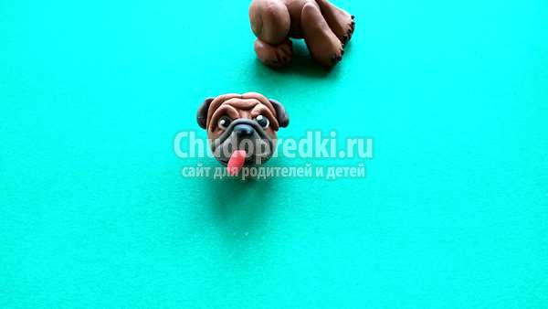 Щенок мопса