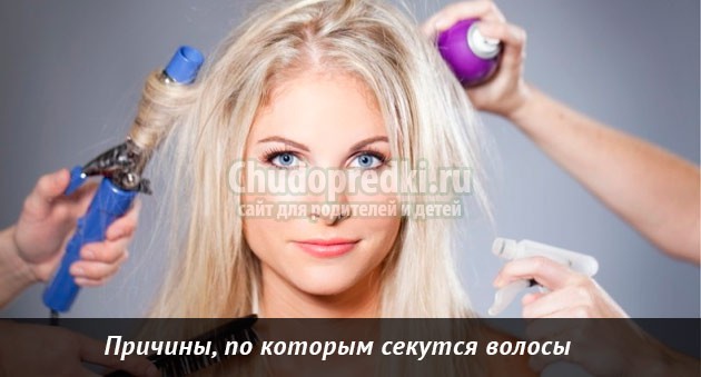 народные маски для волос против секущихся кончиков
