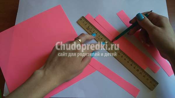 Символ года 2019