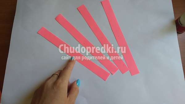 Символ года 2019