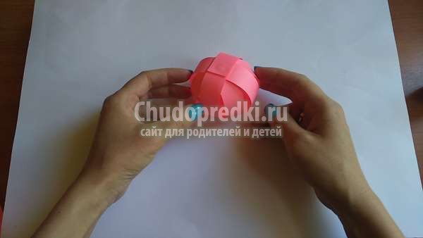 Символ года 2019