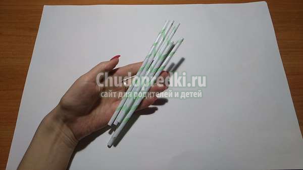 Объемные поделки  Цветы