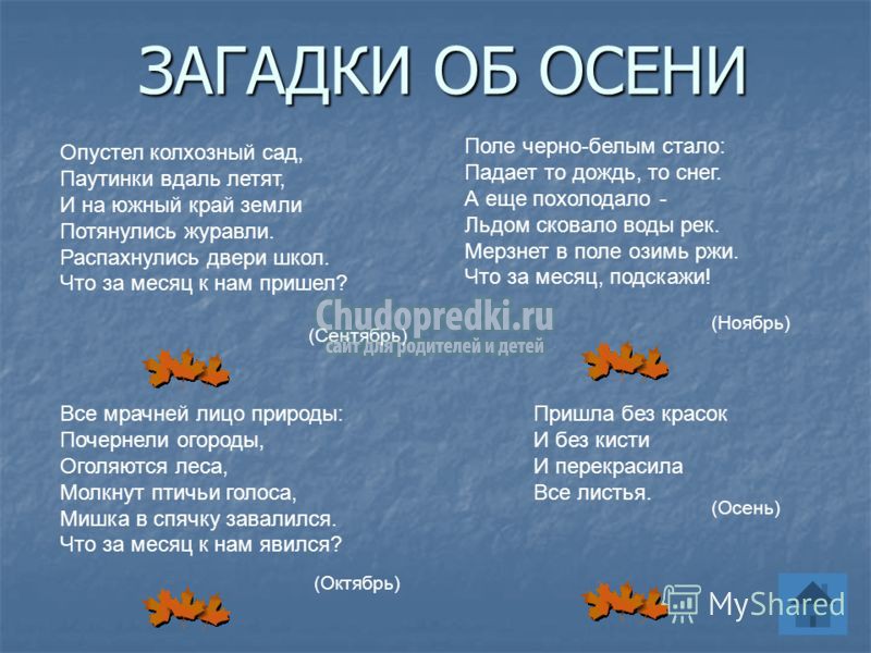 Загадки про осень с ответами
