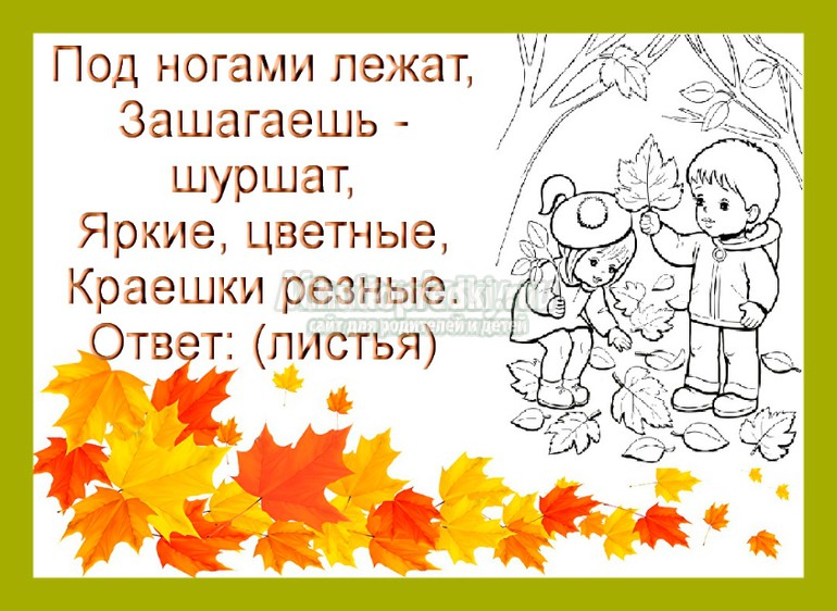 загадки о листьях