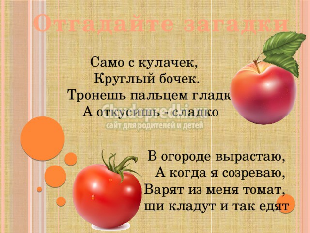 загадки про овощи и фрукты с ответами