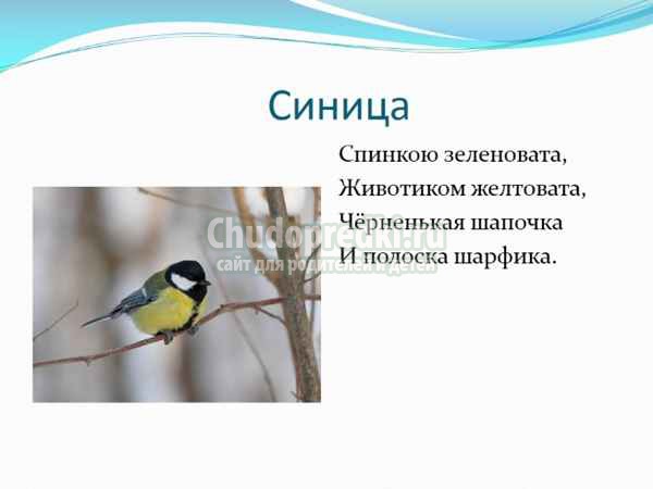 Загадки про птиц для детей